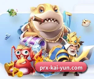 开云体育的故事（kaiyun）