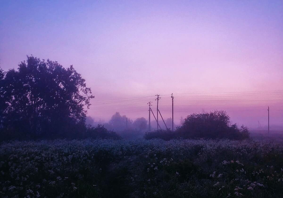 开云-新秀列传：球家老三不走寻常路，他跟老爸划清界限